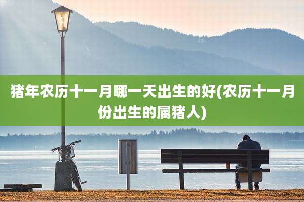 猪年农历十一月哪一天出生的好(农历十一月份出生的属猪人)