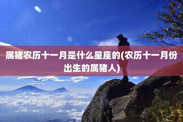 属猪农历十一月是什么星座的(农历十一月份出生的属猪人)