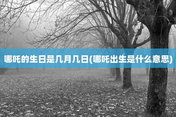 哪吒的生日是几月几日(哪吒出生是什么意思)