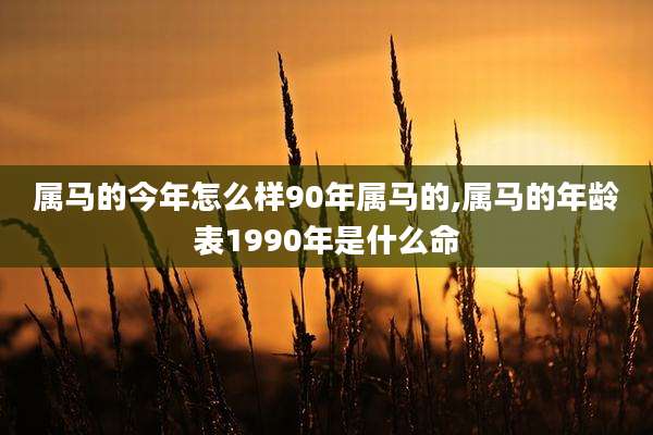 属马的今年怎么样90年属马的,属马的年龄表1990年是什么命