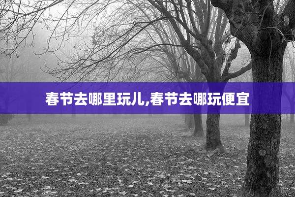 春节去哪里玩儿,春节去哪玩便宜