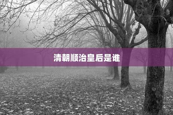 清朝顺治皇后是谁