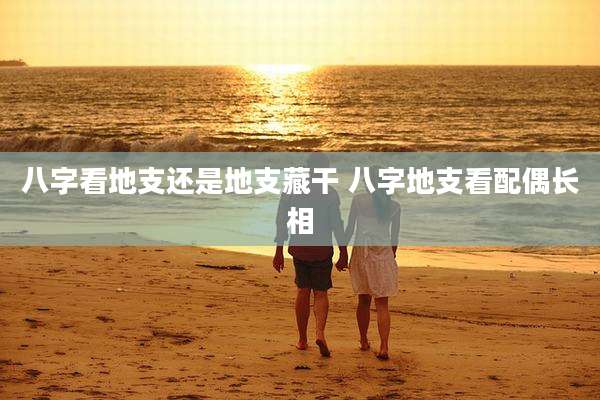 八字看地支还是地支藏干 八字地支看配偶长相