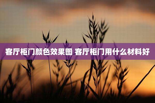 客厅柜门颜色效果图 客厅柜门用什么材料好