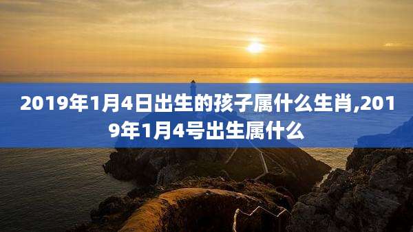 2019年1月4日出生的孩子属什么生肖,2019年1月4号出生属什么