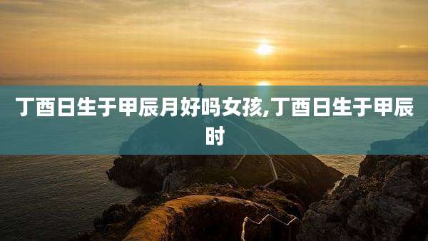 丁酉日生于甲辰月好吗女孩,丁酉日生于甲辰时