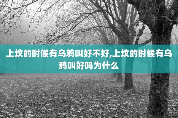 上坟的时候有乌鸦叫好不好,上坟的时候有乌鸦叫好吗为什么