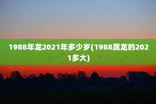 1988年龙2021年多少岁(1988属龙的2021多大)