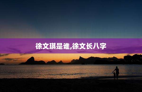 徐文琪是谁,徐文长八字