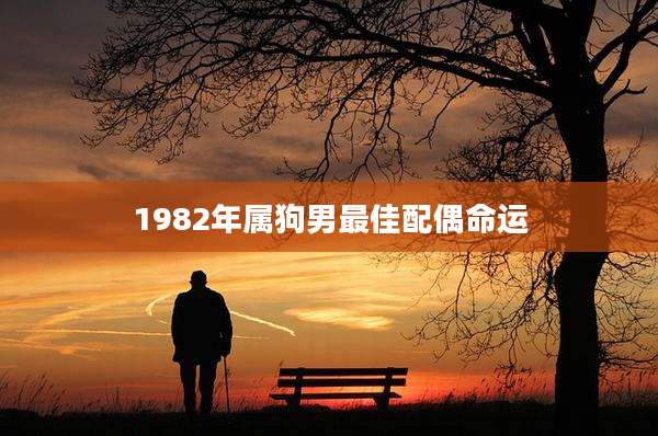 1982年属狗男最佳配偶命运