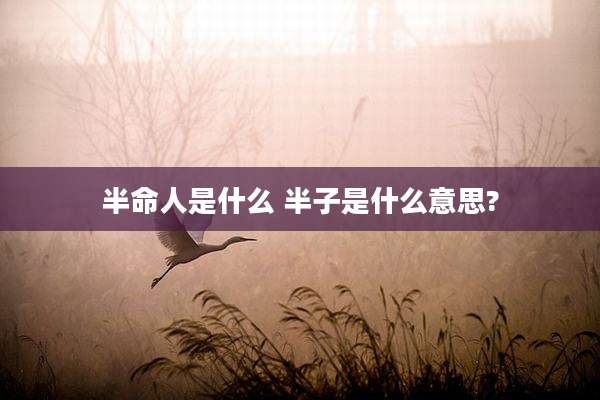 半命人是什么 半子是什么意思?