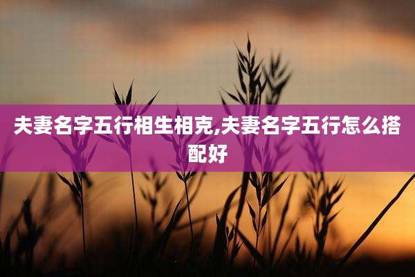 夫妻名字五行相生相克,夫妻名字五行怎么搭配好