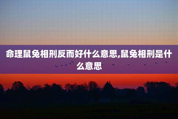 命理鼠兔相刑反而好什么意思,鼠兔相刑是什么意思