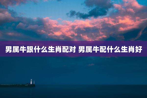 男属牛跟什么生肖配对 男属牛配什么生肖好