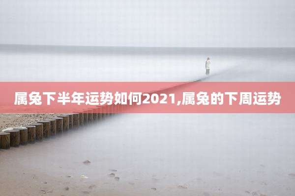 属兔下半年运势如何2021,属兔的下周运势