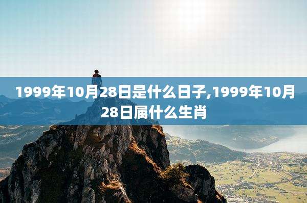 1999年10月28日是什么日子,1999年10月28日属什么生肖