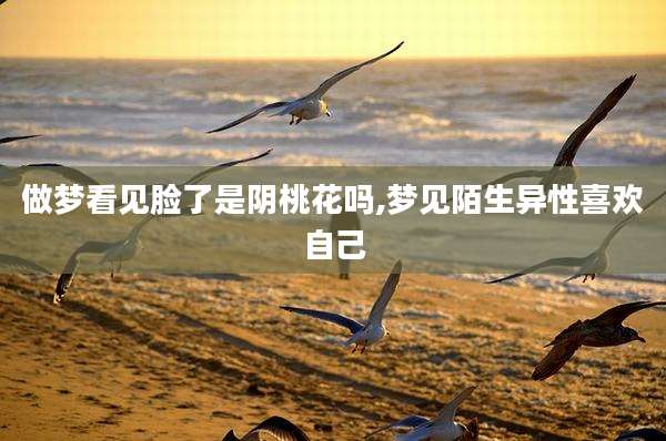 做梦看见脸了是阴桃花吗,梦见陌生异性喜欢自己