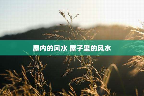 屋内的风水 屋子里的风水