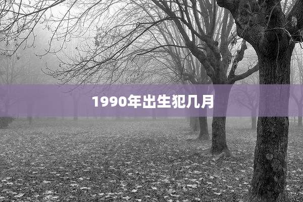 1990年出生犯几月