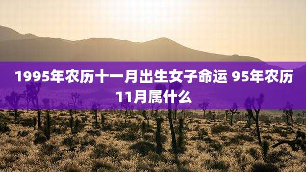 1995年农历十一月出生女子命运 95年农历11月属什么