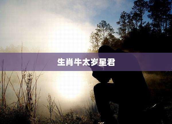 生肖牛太岁星君