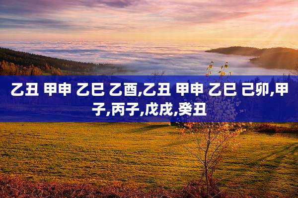 乙丑 甲申 乙巳 乙酉,乙丑 甲申 乙巳 己卯,甲子,丙子,戊戌,癸丑