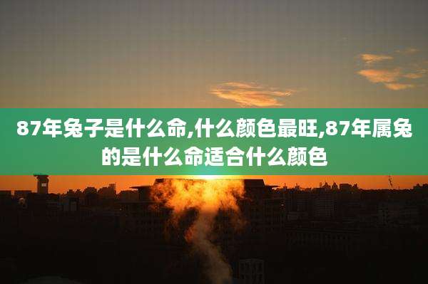 87年兔子是什么命,什么颜色最旺,87年属兔的是什么命适合什么颜色