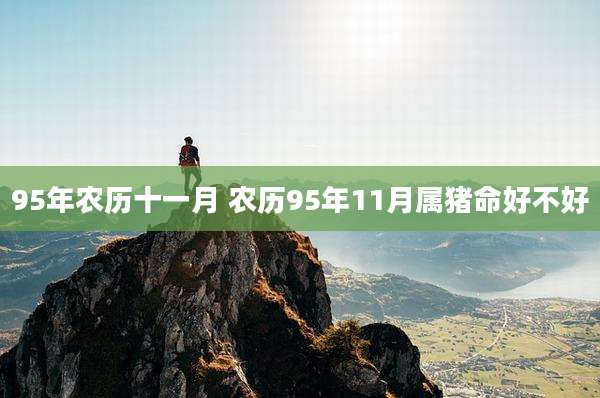 95年农历十一月 农历95年11月属猪命好不好