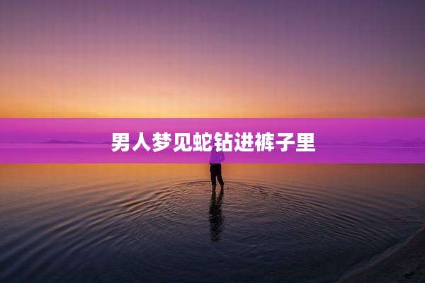 男人梦见蛇钻进裤子里