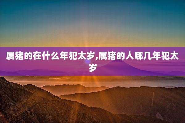 属猪的在什么年犯太岁,属猪的人哪几年犯太岁