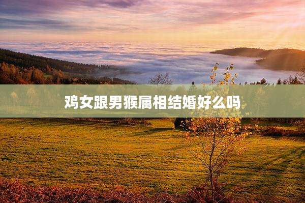鸡女跟男猴属相结婚好么吗