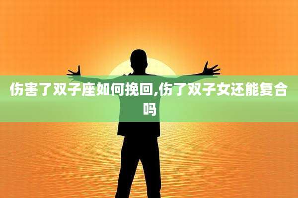 伤害了双子座如何挽回,伤了双子女还能复合吗