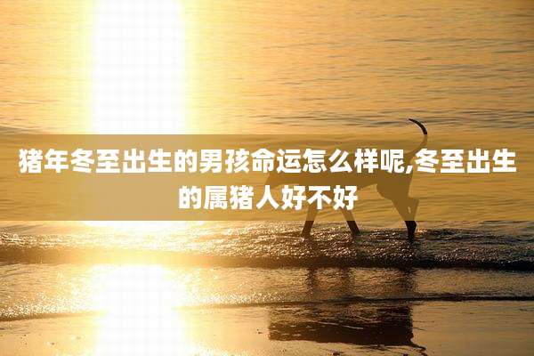 猪年冬至出生的男孩命运怎么样呢,冬至出生的属猪人好不好