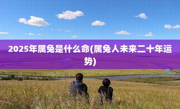 2025年属兔是什么命(属兔人未来二十年运势)