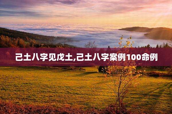 己土八字见戊土,己土八字案例100命例
