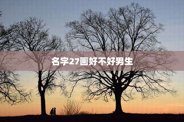 名字27画好不好男生