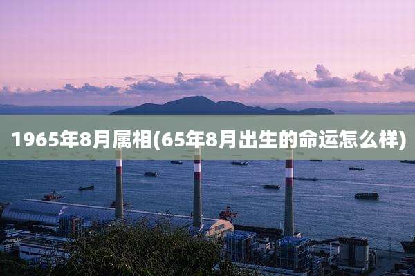 1965年8月属相(65年8月出生的命运怎么样)