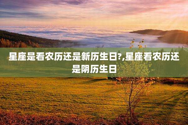 星座是看农历还是新历生日?,星座看农历还是阴历生日