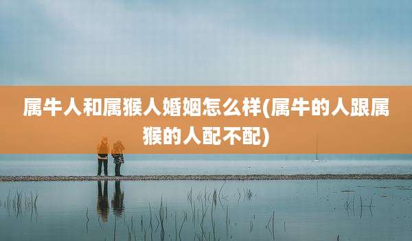 属牛人和属猴人婚姻怎么样(属牛的人跟属猴的人配不配)