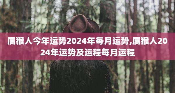 属猴人今年运势2024年每月运势,属猴人2024年运势及运程每月运程