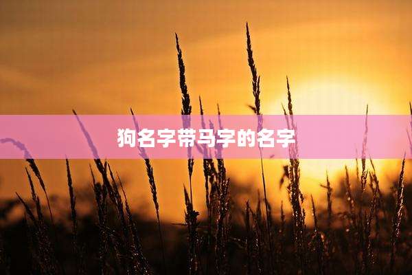 狗名字带马字的名字