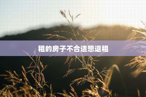 租的房子不合适想退租