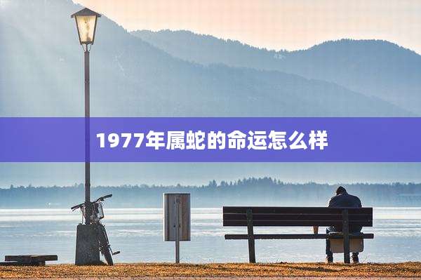 1977年属蛇的命运怎么样
