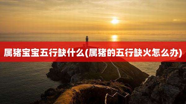 属猪宝宝五行缺什么(属猪的五行缺火怎么办)