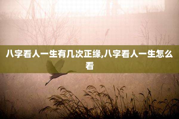 八字看人一生有几次正缘,八字看人一生怎么看