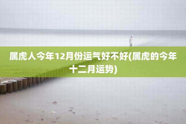属虎人今年12月份运气好不好(属虎的今年十二月运势)
