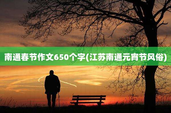 南通春节作文650个字(江苏南通元宵节风俗)
