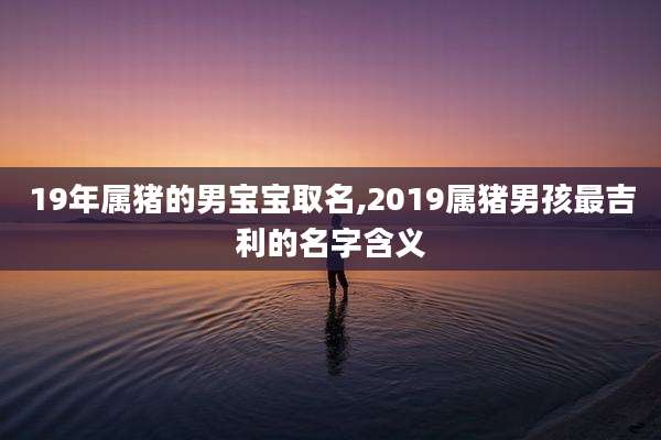 19年属猪的男宝宝取名,2019属猪男孩最吉利的名字含义