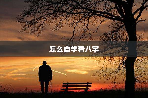怎么自学看八字