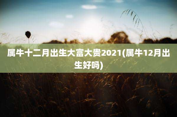 属牛十二月出生大富大贵2021(属牛12月出生好吗)